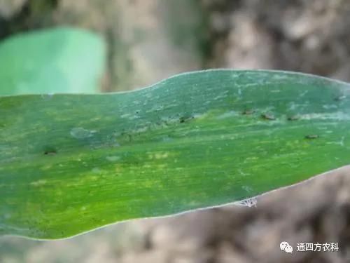 ���הQ����ô�k����ץ�o��Q��(hu��)Ӱ푮a(ch��n)��!!!