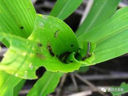 ���הQ����ô�k����ץ�o��Q��(hu��)Ӱ푮a(ch��n)��!!!